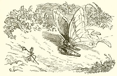 Karınca ve Krizalit by Ernest Henry Griset