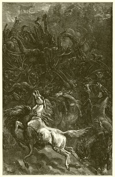Eşek ve Aslan Avı by Ernest Henry Griset