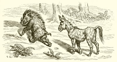 domuz ve eşek by Ernest Henry Griset
