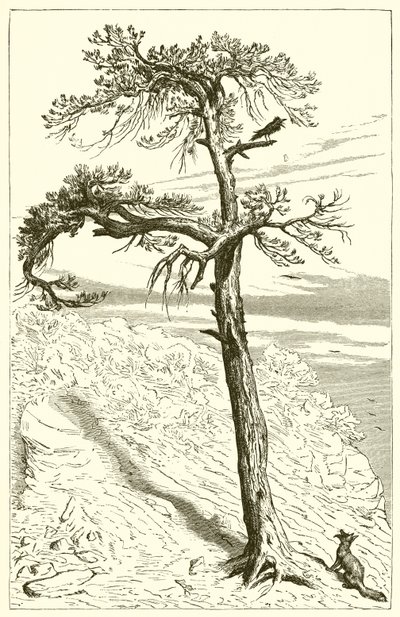 The Fox and the Crew  by Ernest Henry Griset