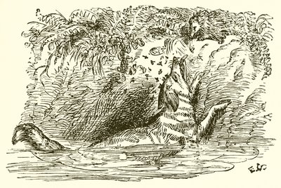 Tilki ve Kirpi by Ernest Henry Griset