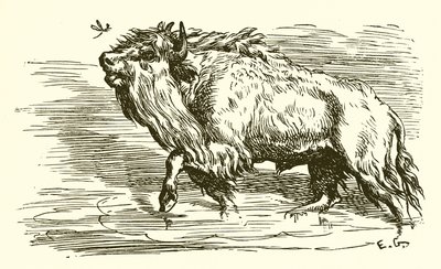 Sivrisinek ve Boğa by Ernest Henry Griset