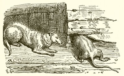 Icyitegererezo kuri David Copperfield turki by Ernest Henry Griset