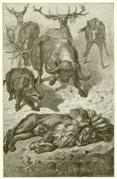 The Old Lion  by Ernest Henry Griset