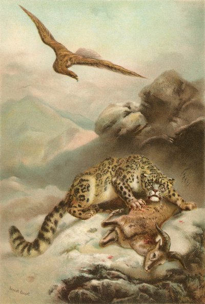 Kar Leoparı ve Kartal by Ernest Henry Griset