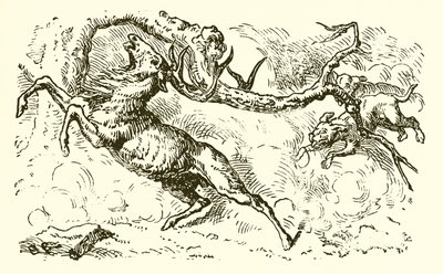 Havuza bakan geyik by Ernest Henry Griset