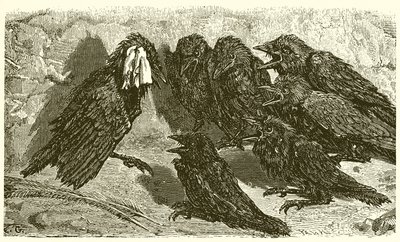 boşuna karga by Ernest Henry Griset