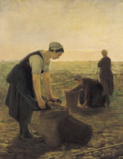 patates hasadı by Ernest Masson
