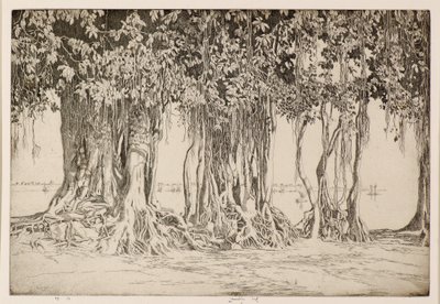 Banyan Ağacı by Ernest Stephen Lumsden