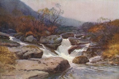 Bir Dartmoor Çayı (renkli taş) by Ernest William Haslehust