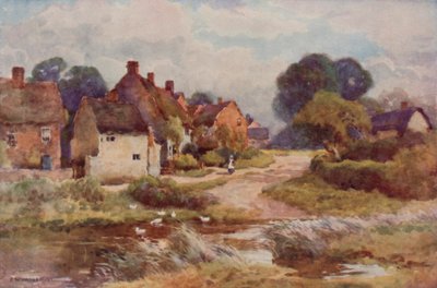 "Dilenci Süpürgesi" (renkli taş) by Ernest William Haslehust