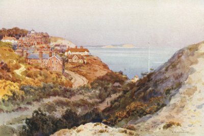 Boscombe Chine (renkli taş) by Ernest William Haslehust
