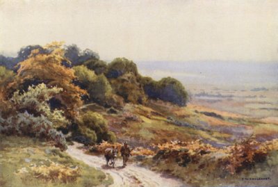 Burley Moor (renkli taş) by Ernest William Haslehust