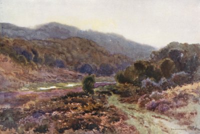 Broomy Water ile (renkli lito) by Ernest William Haslehust