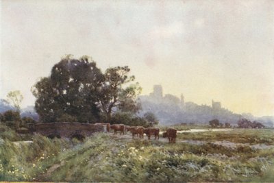 Meadows