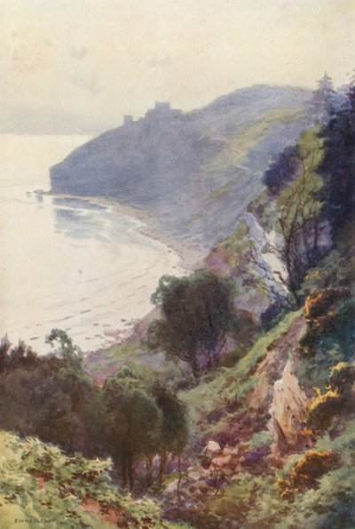Durlston Körfezi, Swanage (renk üyeleri) by Ernest William Haslehust
