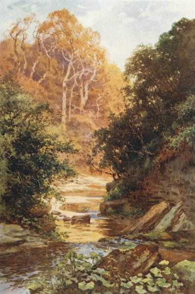 Hayburn Wyke (renkli taş) by Ernest William Haslehust