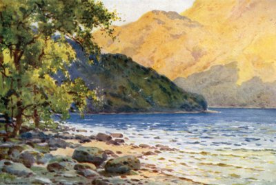 Inverbeg: Loch Lomond