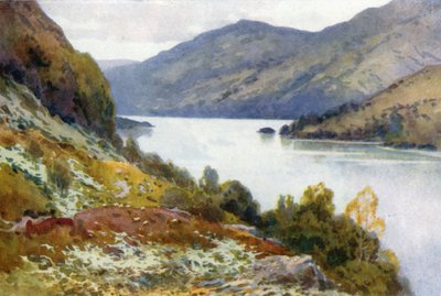 Inversnaid