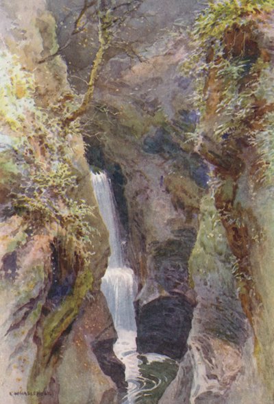 Lydford Gorge (renk üyeleri) by Ernest William Haslehust