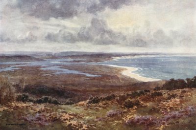 Studland