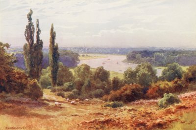 by Ernest William Haslehust