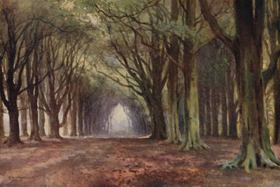 Beech Avenue, Thoresby (renkli taş) by Ernest William Haslehust
