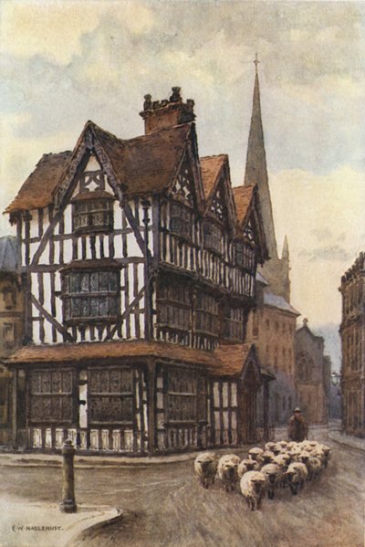 Siyah-Beyaz Saray, High Town (renkli taş) by Ernest William Haslehust