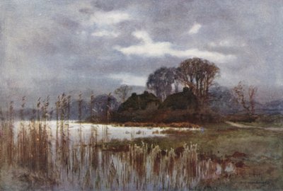 Değirmen Göleti, Beaulieu (renkli taş) by Ernest William Haslehust
