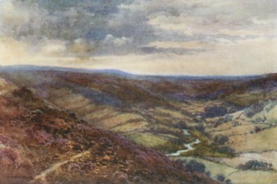 Hackness yakınlarındaki Moors (renkli taş) by Ernest William Haslehust