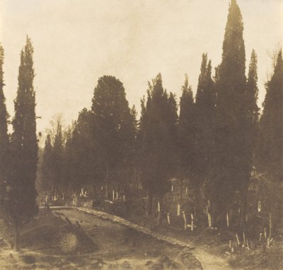 Türkiye: Scutari Mezarlığı,1852 (fotoğraf) by Ernest de Caranza