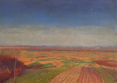 Marchfeld vom Bisamberg by Ernst Eck