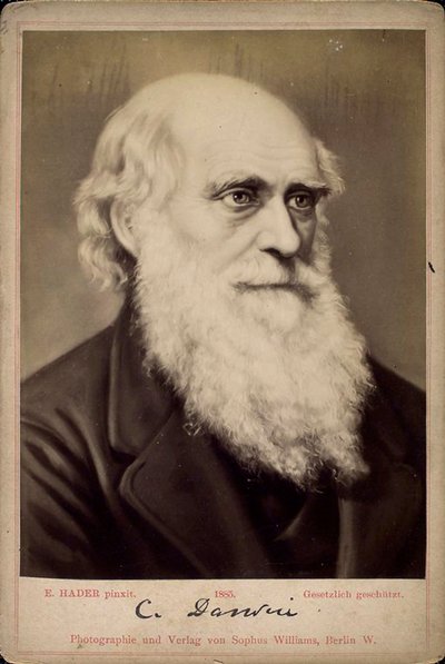 Charles Darwin, İngiliz doğa bilimci, c1860s-c1870s by Ernst Hader