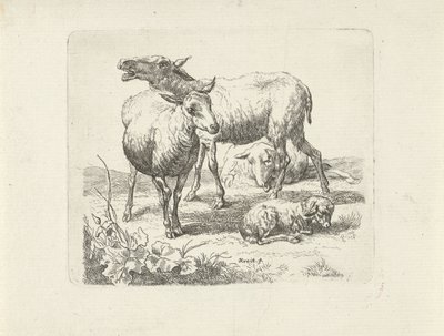 Çayırda üç koyun ve bir kuzu by Ernst Ludwig Creite