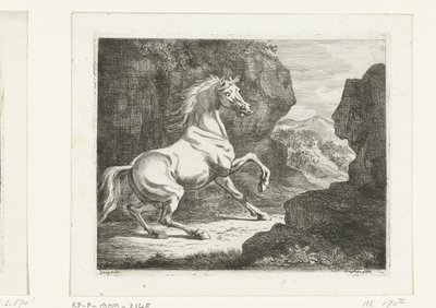 Zıplayan beyaz aygır by Ernst Willem Jan Bagelaar