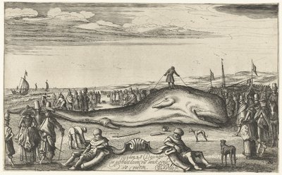 Noordwijk sahilinde mahsur kalan ispermeçet balinası, 1614 by Esaias van de Velde