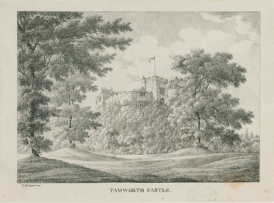 Tamworth Kalesi: çinkograf, nd [1796-1865] by Etienne Bruno Hamel