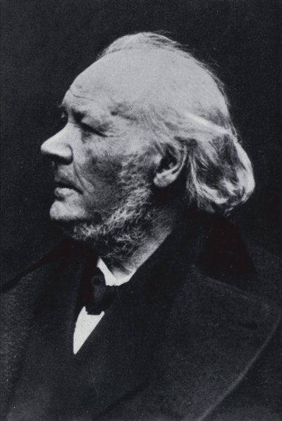 illüstratör Honore Daumier by Etienne Carjat