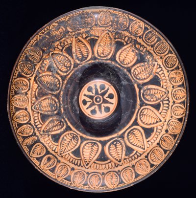 Patera. Spina