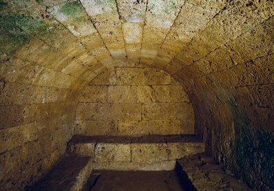 Útsýni yfir ráðhúsið í Köln. Þýskalandi by Etruscan Etruscan