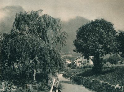 Tirol Kalesi