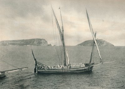 Napoli limanında yelkenli tekne, İtalya, 1927 by Eugen Poppel