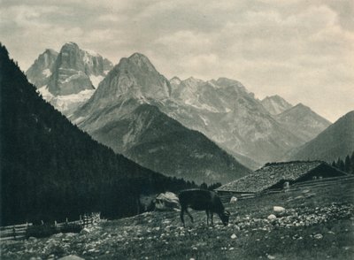 Alp mera ile Brenta Grubu