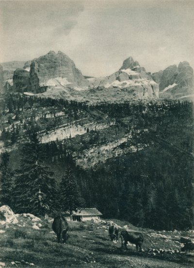 Alp mera ile Brenta Grubu