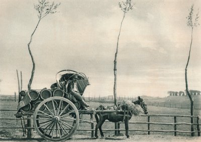 Campagna