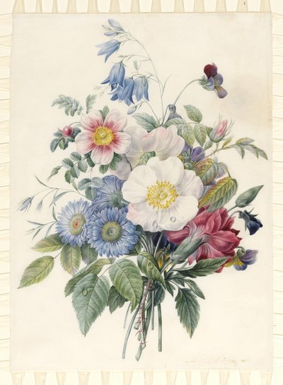 Blue Aster, Rosa Spinosissima Hybrid, Harebell, Violas, Cartnation and a Wild Rose, 1820 (parşömen üzerine grafit dış hat üzerinde wc ve gövde rengi) by Eugene A. L. d Orleans