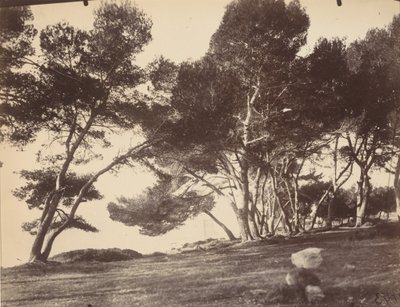  by Eugène Atget