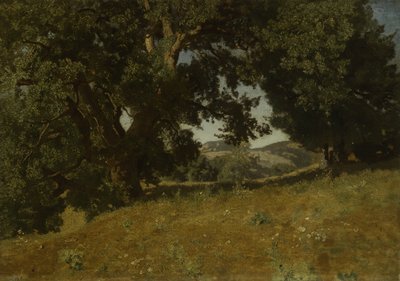 Manzara by Eugene Bléry