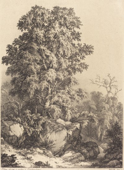 Kayın Korusu by Eugene Bléry