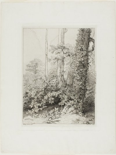 Bramble ve Sarmaşık by Eugene Bléry